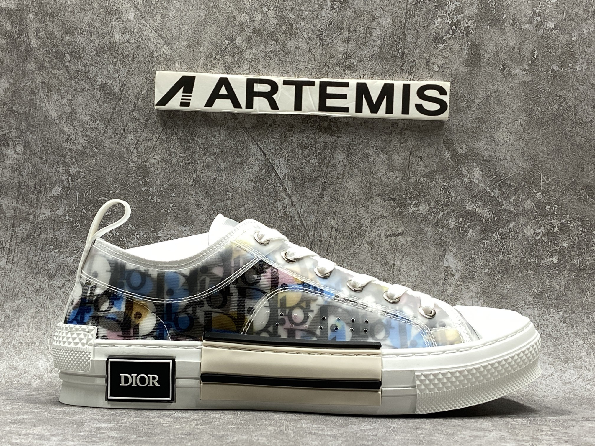 D*or b23 low top alex foxton oblique