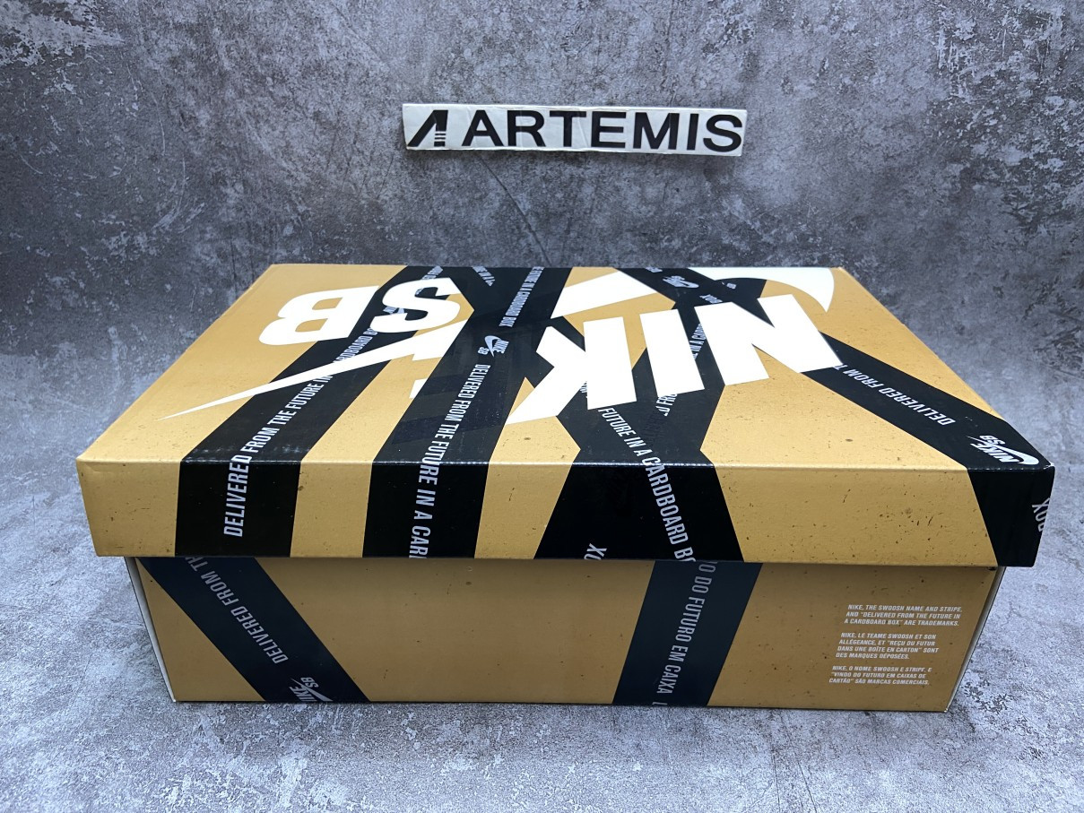 Nike Dunk SB Low FTC Finally