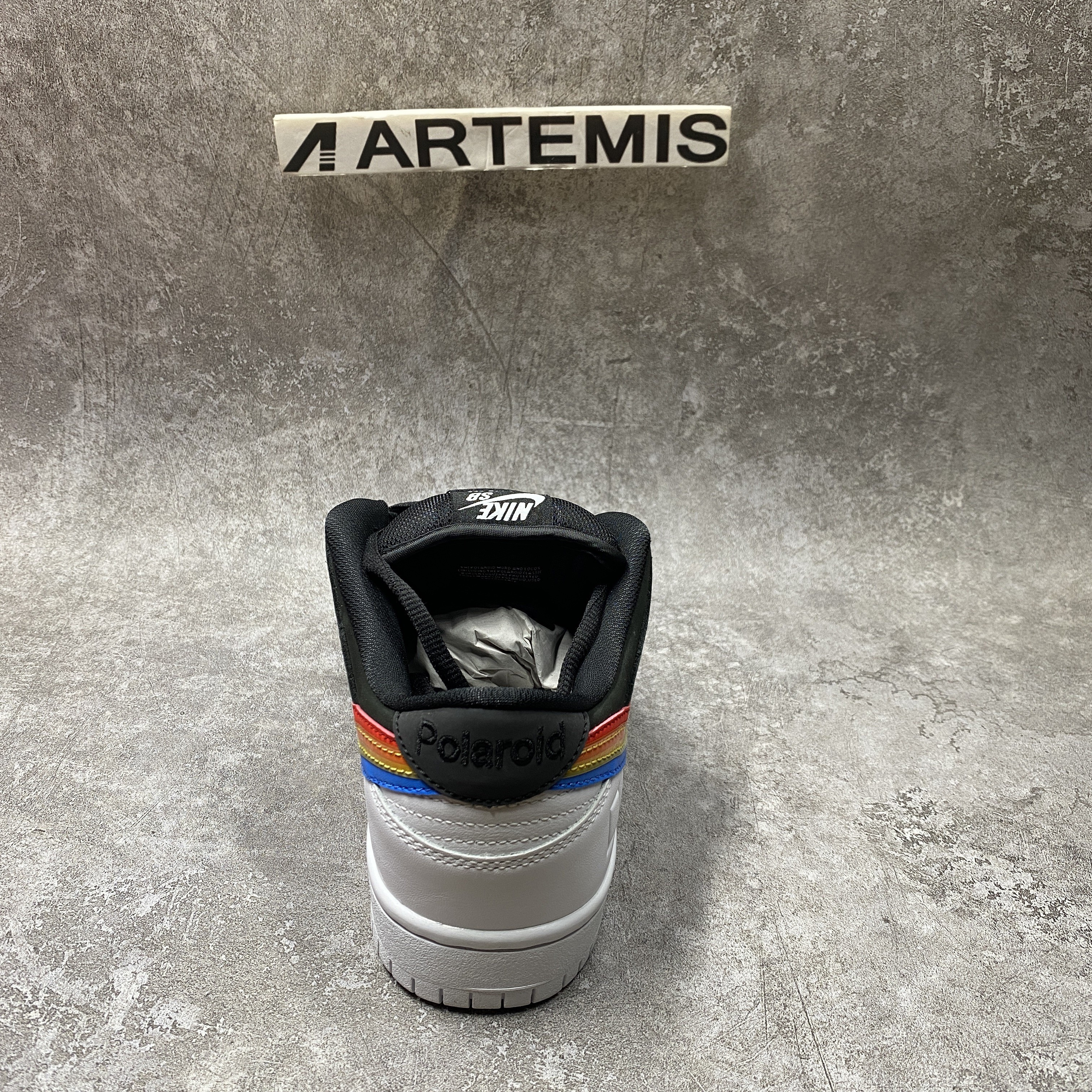 Nike SB Dunk Low X Polaroid