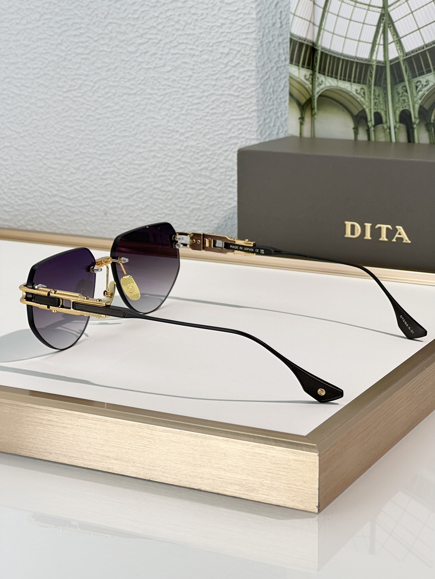 DITA Glasses DTS164 56-17-137