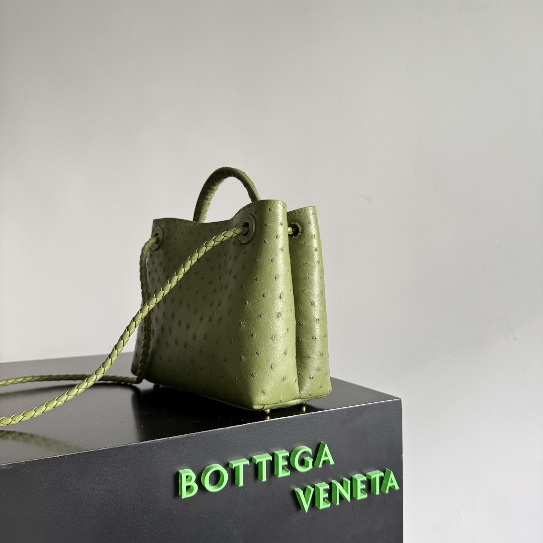 bo*te*ga Ve*ne*ta small andiamo 25x20x10cm